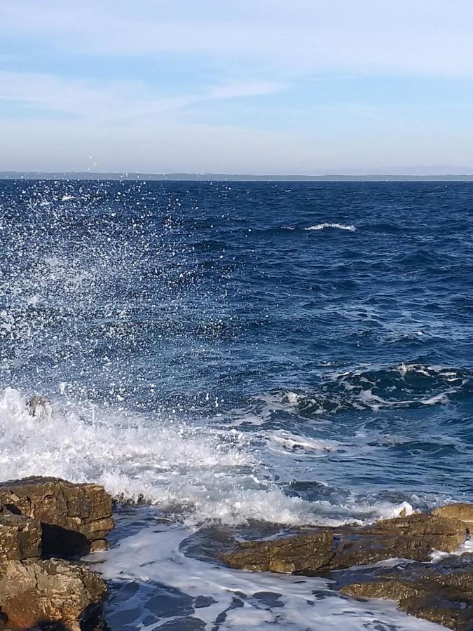 Vlasta Mali Lošinj Dış mekan fotoğraf