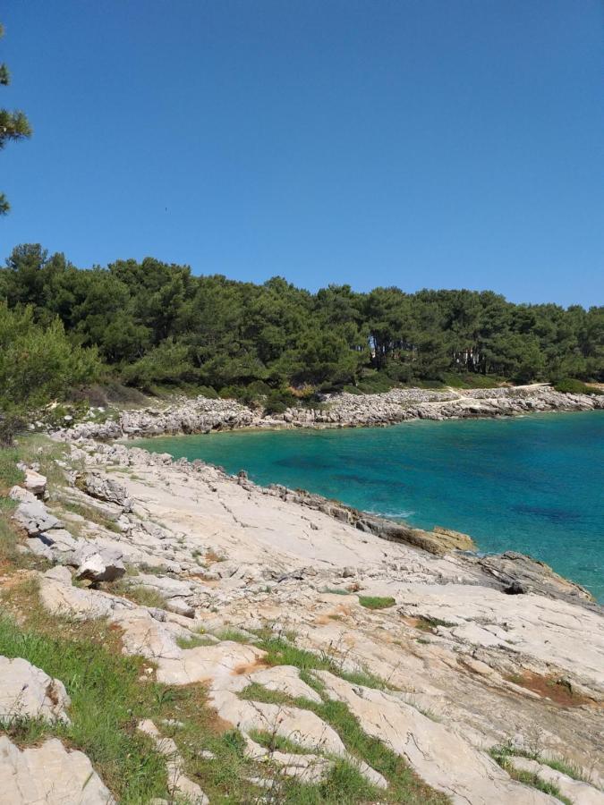 Vlasta Mali Lošinj Dış mekan fotoğraf