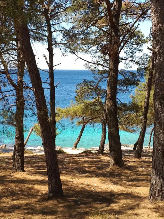 Vlasta Mali Lošinj Dış mekan fotoğraf
