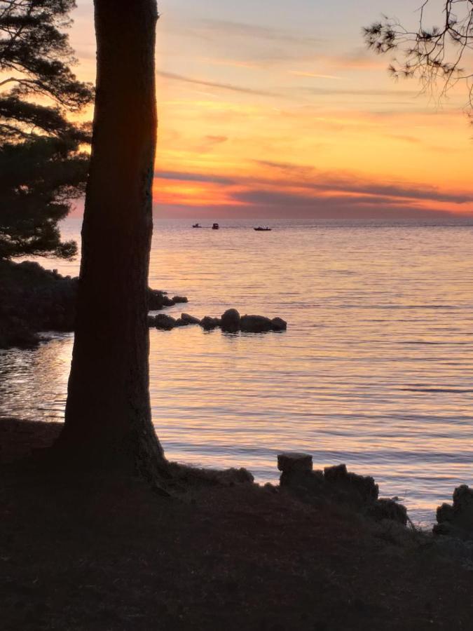 Vlasta Mali Lošinj Dış mekan fotoğraf